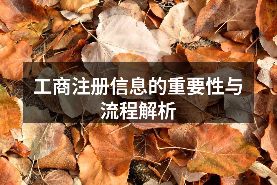 工商注册信息的重要性与流程解析