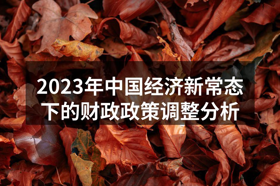 2023年中国经济新常态下的财政政策调整分析